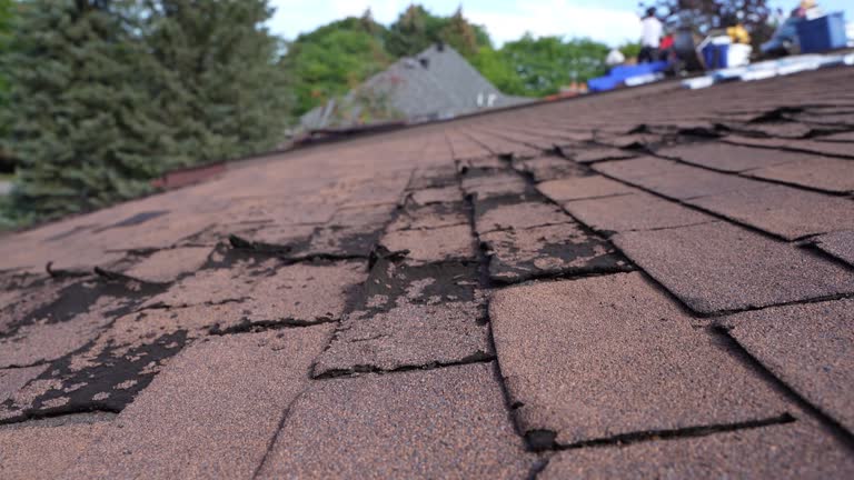 Best Roof Leak Repair  in Franklin, KY