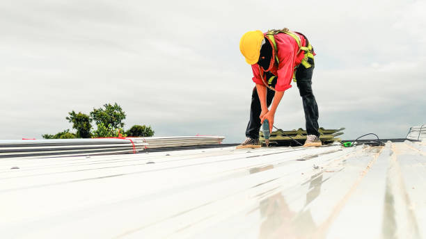 Best 4 Ply Roofing  in Franklin, KY