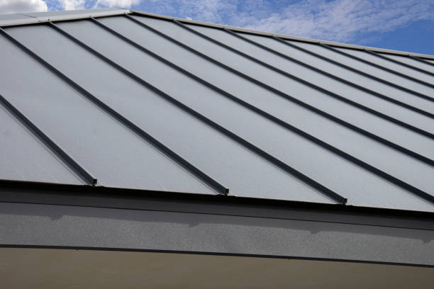Best Chimney Flashing Repair  in Franklin, KY