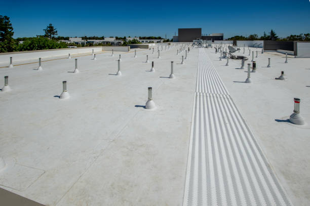 Best Roof Insulation Installation  in Franklin, KY